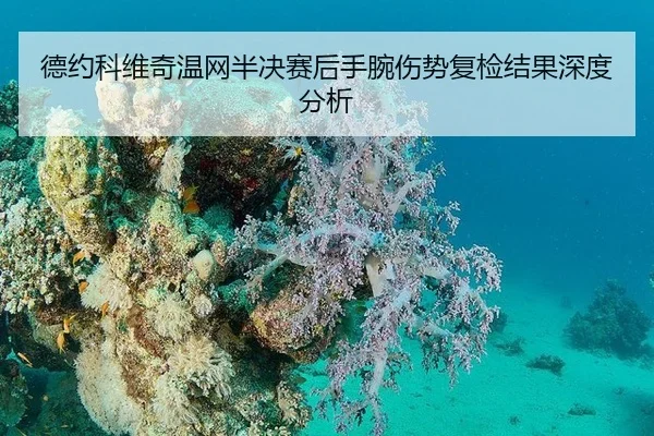 德约科维奇温网半决赛后手腕伤势复检结果深度分析
