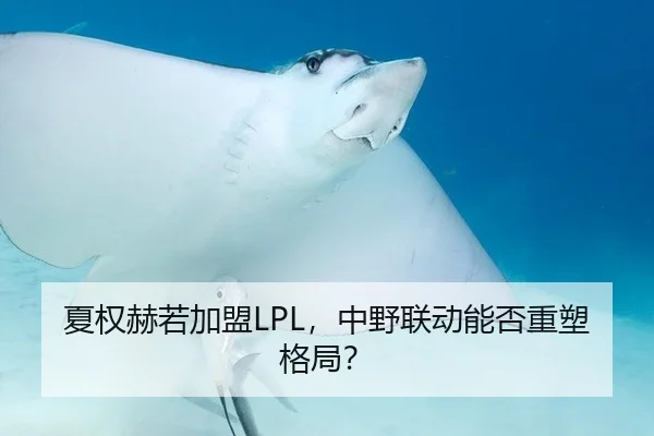 夏权赫若加盟LPL，中野联动能否重塑格局？